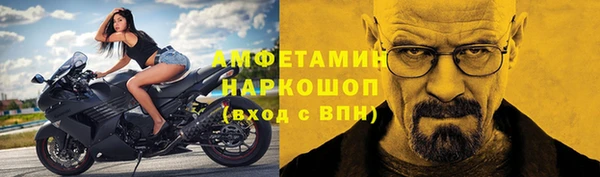 шишки Пересвет